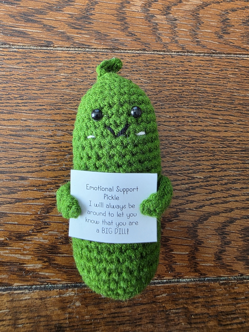 Emotional Support Pickle Crochet Plush | Funny Encouragement Gift